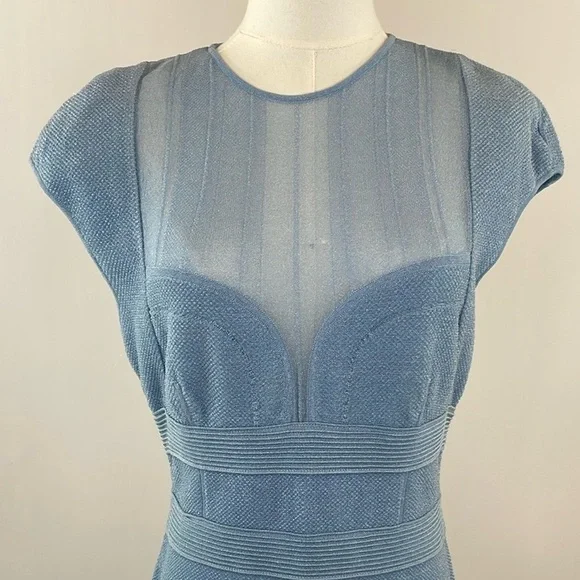 Herve Leger Sheer Bustier Gown L - Picture 10 of 13